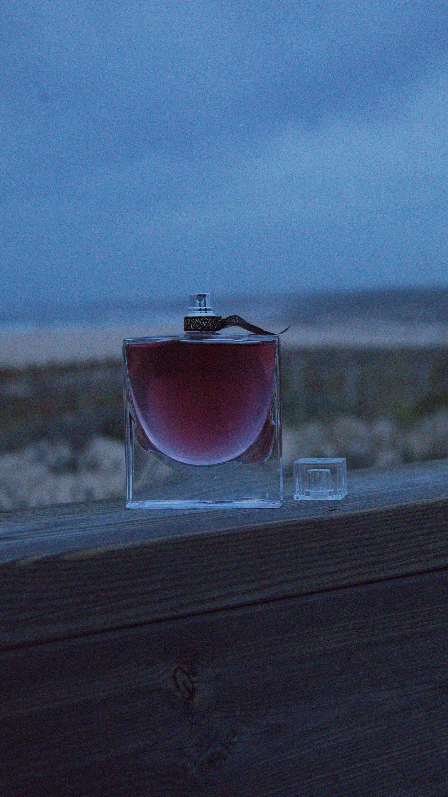 #DF010 - L'ELIXIR - 100ml